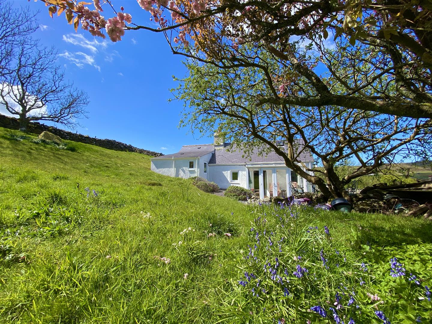 Tudor Estate Agents Surveyors and Property Managers New Nov 16